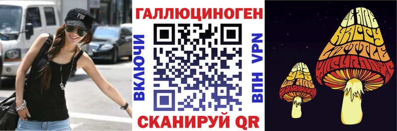 blacksprut как зайти  Вилючинск  Галлюциногенные грибы GOLDEN TEACHER  наркошоп 